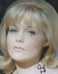 Cat. #001661425:  CAROL LYNLEY