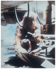 Cat. #00167311321:  PETER MAYHEW