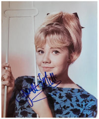 Cat. #0017312212:  HAYLEY MILLS