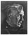 Cat. #00206131:  VINCENT PRICE