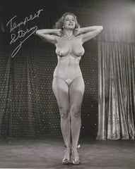 Cat. #0040331222:  TEMPEST STORM